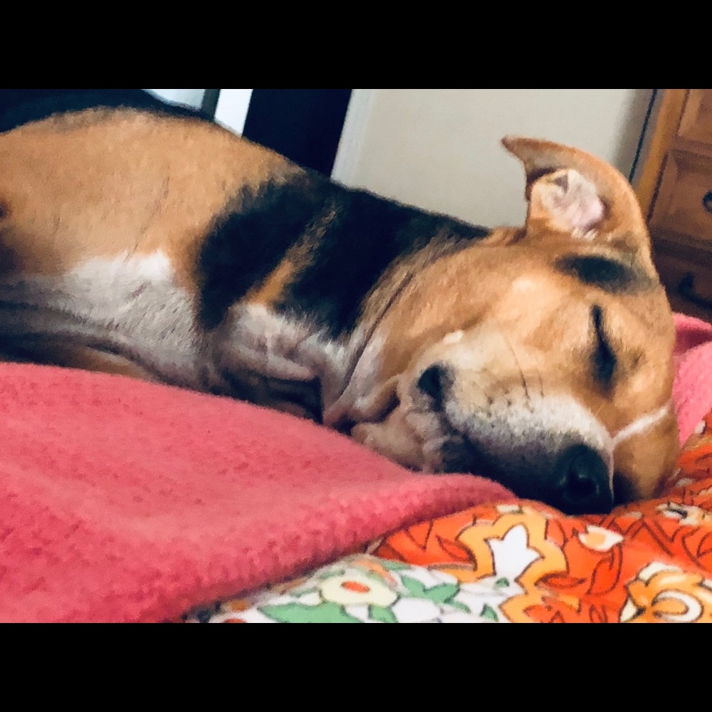 Meet your Posher, Sabrina